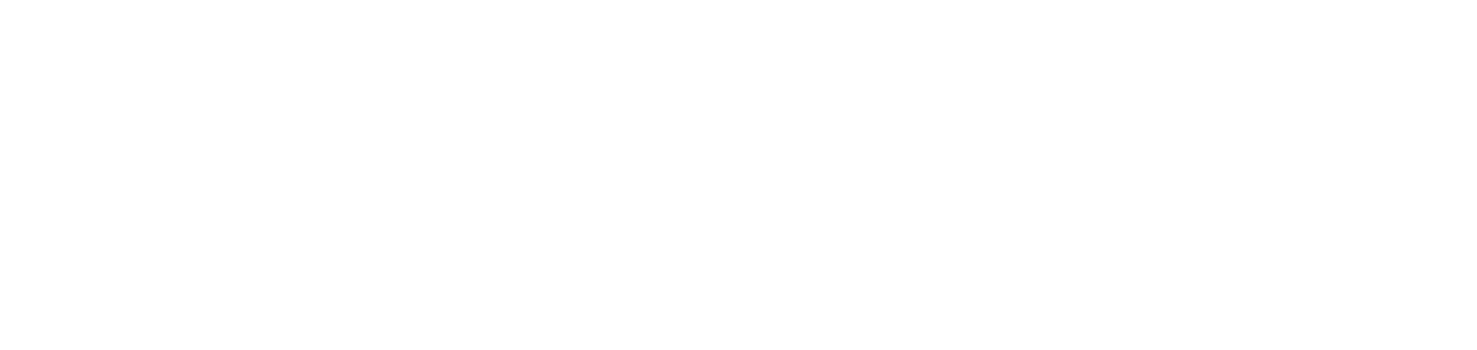 Madame Ana Logo